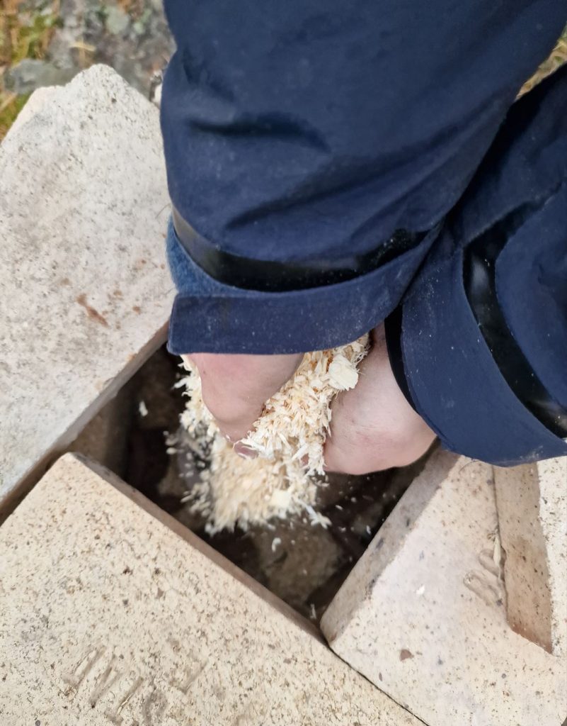 Adding sawdust to the sawdust pottery kiln